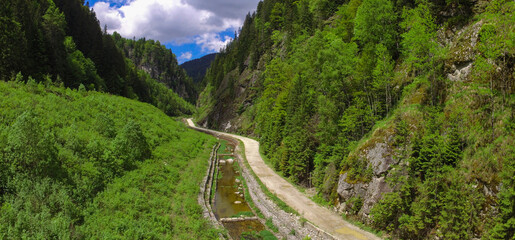 Aerial drone view of Lotru river flowing through a narrow canal in a mountainous forested area. A gravel road winds along the river. Sharp cliffs  are narrowing the valley. Carpathia, Romania.