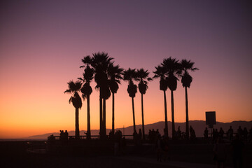 Obraz premium sunset in Venice Beach