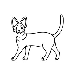 Isolated outline of a cat - Vector illustration