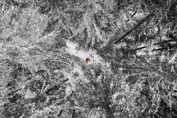 Aerial view of snowy pine at a colorful rainbow colored umbrella in the middle of the aerial photo as a wonderful color contrast element.