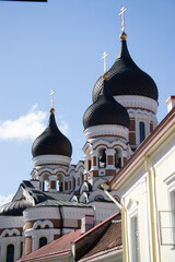 catedral de Tallin