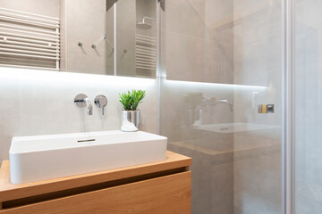 Interior of bathroom with wash basin and shower and mirror. Elegant bathroom with wooden counter and plant. Stylish spa in hotel. 