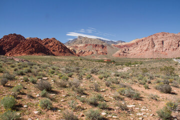 red rock canyon