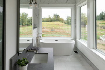Modern bathroom in a farmhouse-style home
