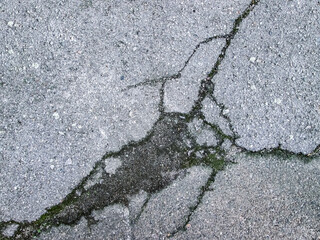 Obraz premium A crack in the asphalt with grown grass. Photo of the damaged road surface. The texture of the destroyed surface.