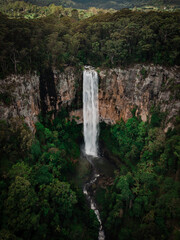 Fototapeta na wymiar Purling Brook Falls, Springbrook National Park, Queensland, Australia