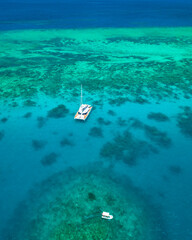 Snorkeling in the Great Barrier Reef