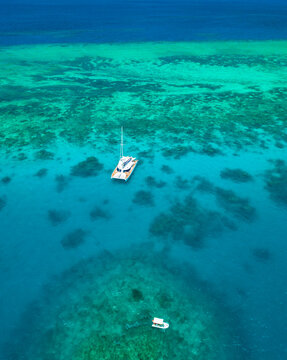 Snorkeling in the Great Barrier Reef