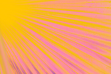 Abstract bright natural background. Surreal leaves of tropical plants