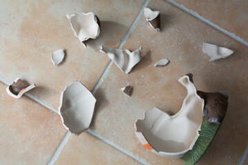 Decorative Ceramic Figure Is Broken On Tiled Floor