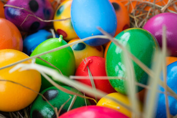 colorful eggs in nest