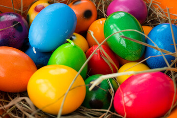colorful eggs in the easter nest