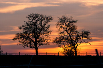 colorful winter sunset with clouds in front of silhouette of trees and fence