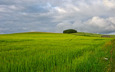 Rural Landscape In The East Neuk Of Fife Near Upper Largo, Scotland, United Kingdom