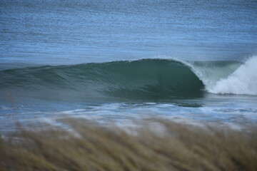 Maine Surf