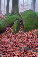 Sea of ​​rocks in the fog