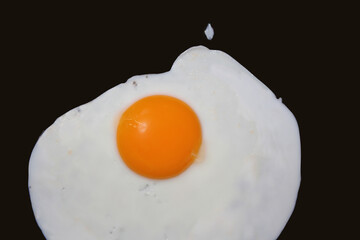Egg