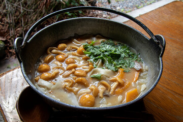 japanese local noodle food to hoto