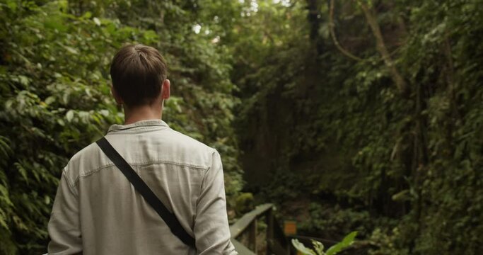 Back view following a young caucasian man exploring a tropical rainforest in Bali