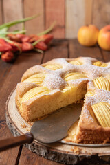 frisch gebackener Kuchen mit eingeschnittenen Äpfeln in Vierteln aus einer Springform zur Jahreszeit Frühling auf einem braunen Tisch aus Holz in der Küche