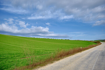 Gravel road and magnificent green grass near the road with cloudy and open sky background. Road sign in next to road.