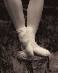 Ballet slippers © Nicole