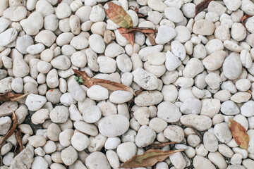 Top-view of white stone texture background in garden.Spring garden in morning sunlight. Decorative ground path of gravel rocks with dry brown leave.
