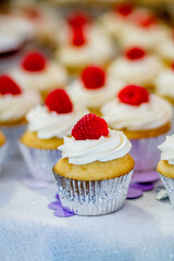 Raspberry cupcakes with vanilla frosting ; fresh