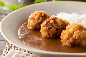 こんがりキツネ色の唐揚げカレー