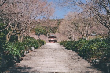 冬の勝尾寺