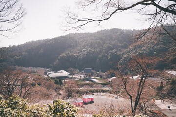 冬の勝尾寺