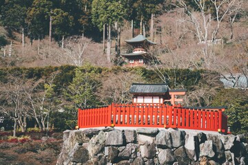 冬の勝尾寺