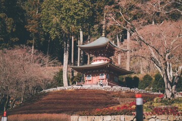 冬の勝尾寺