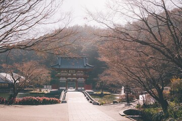 冬の勝尾寺