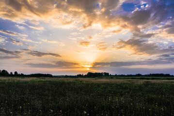 Golden sunrise or sunset in the cloudy sky with sun rays in summer over the meadow