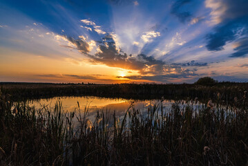 summer landscape with the reflection of sunset and sun rays in the water of the pond