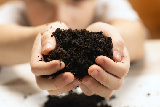 Boy Holds Out His Hands C Fertile Ground , Front View, Blurred Background