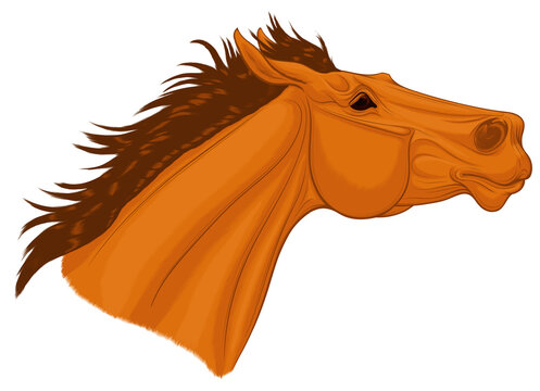 Portrait of a chestnut thoroughbred horse with its head up. Running stallion laid its ears back. Vector illustration for decoration of equestrian goods.