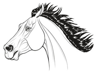 Black and white portrait of a running bronco with a long thick mane. Galloping stallion pulled its ears back. Vector linear element for rodeo and horse owners isolated on a white background.