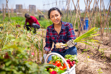 Fototapeta premium Latino woman working on a farm field on hot summer day