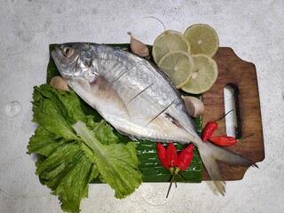 Fresh Kuwe Lilin