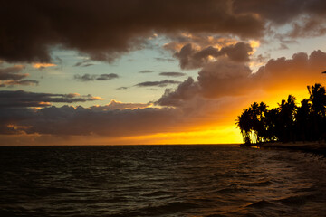 Fototapeta na wymiar Tropical beach at sunrise. Silhouettes of coconut palm trees on the shore of sea. Beautiful background