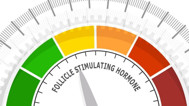 Gradient scale. Follicle stimulating hormone level measuring device icon. Sign tachometer, speedometer, indicators. Infographic gauge element. 3D rendering.