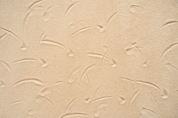 Textured sandy background.