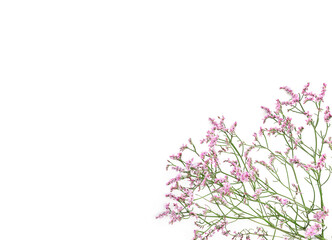 Beautiful flower background of gypsophila flowers