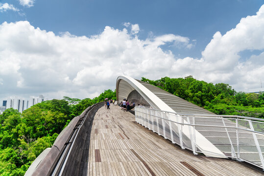 Amazing bridge imitating wave, Singapore. Scenic wooden walkway