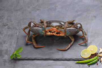 Live mud crab