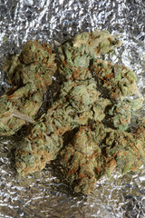 Medical cannabis super lemon haze skank macro modern background high quality prints