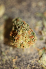 Medical cannabis super lemon haze skank macro modern background high quality prints