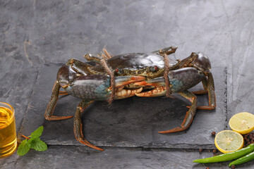 Live mud crab